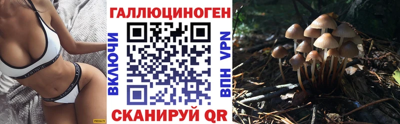 где продают наркотики  blacksprut ССЫЛКА  Галлюциногенные грибы GOLDEN TEACHER  Краснослободск 